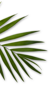 BYD – MakeUp & SkinCare by Dajana Samardžija